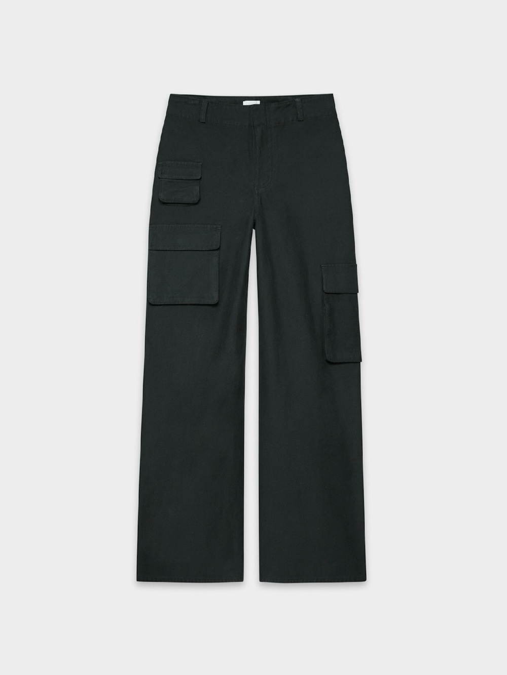 Aritzia Wilfred Free Picture Cargo in Black ✨